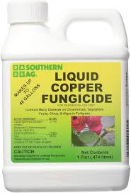 Find fungicide lawn & garden at lowe's today. Amazon Com Southern Ag Liquid Copper Fungicide 16oz Pint Home Pest Lures Garden Outdoor
