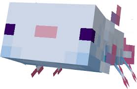 The author tried to design the models as presented in minecraft live. Axolotls Replica Concept Minecraft Pe Addon