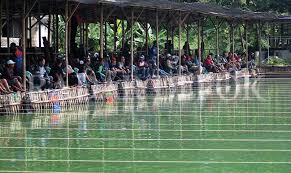 Berjudi Di Ujung Kail Radar Depok Koran Depok Sesungguhnya