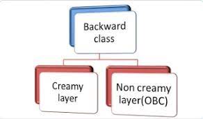 This concept is not applied to the scheduled castes category and scheduled tribes category. Non Creamy Layer Meaning In Tamil