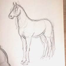 Sketch From One Of My Animal Study Sessions Animaldrawing Lifedrawing Art Sketchbook Sketch Drawing S Horse Drawings Horse Sketch Animal Sketches