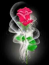 1920x1080 best hd wallpapers of flowers, full hd, hdtv, fhd, 1080p desktop backgrounds for pc & mac, laptop, tablet, mobile phone. Welcome Rose Flower Wallpaper Red Roses Wallpaper Flower Wallpaper