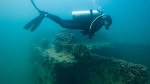 Course price only $49.99, $24.95! Snorkelling And Diving Visit Abu Dhabi