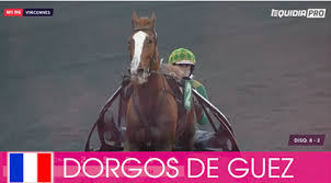 Elitloppet French Winning Machine Coming To Elitloppet
