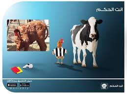 مرض صعب تعرفة بس بيظهر كتير فى المزارع و بالاخص المزارع اللى فيها عدم نظافة و تلوث كتير و ذباب بيظهر المرض فى صور التهاب و عقد تحت الجلد و بيظهر فى