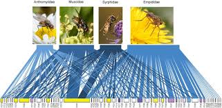 Both abiotic and biotic factors determine both where an organism can live and how much a population can grow. Altitudinal Temporal And Trophic Partitioning Of Flower Visitors In Alpine Communities Scientific Reports