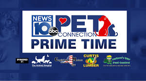 Hire us to keep your loved ones safe by eliminating pests. Pet Connection Prime Time