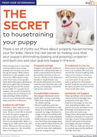 Client Handout The Secret To Housetraining A Puppy Dvm 360 Are you going to have to convince a stubborn toddler to cooperate every 20 before you start planning out your potty training schedule, it's important to take a second to consider if your child is really ready to be potty.