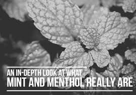 A potentially inflated difference between mint and menthol seems to be the case on juul's website. By Reading This Article You Ll Be Able To Fully Understand How Mint And Menthol Differ From Each Other So That You Can Make A More Informed Decision The Next Time You Go