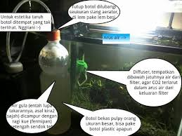 Setelah itu sobat, untuk membantu menurunkan suhu dalam aquarium. Perkiraan Biaya Dan Langkah Setup Aquascape Mini Smartfaiz