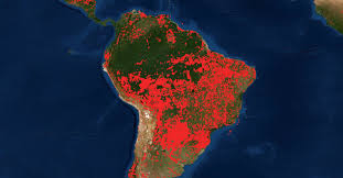 Jun 13, 2021 · la guardia civil potencia los servicios preventivos y de investigación en materia de incendios forestales durante el 2020 hubo 13 detenidos como presuntos responsables de este tipo de delito. El Drama Global De Los Incendios Forestales Se Repite Salva La Selva