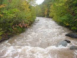 Image result for stream