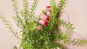 Nature arouses teen libido melany. The Enduring Enigma Of Female Sexual Desire Bbc Future