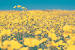 Pastel Aesthetic Flower Desktop Wallpaper