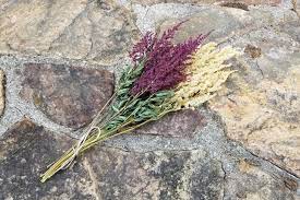 6 12 Dried Purple White Light Pink Astilbe Dried Etsy Dried Flower Bouquet Dried Flowers Astilbe