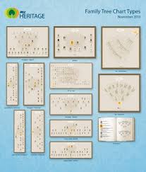 Create A Beautiful Family Tree Chart Online Print It