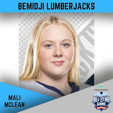 Bemidji High School Girls Hockey