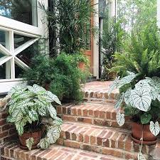 Instagram Photo By James Farmer Jul 10 2016 At 11 15pm Utc Farmhouse Landscaping Porch Landscaping Front Porch Flowers