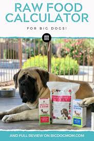 1﻿ this typically costs somewhere from $20 to $60 per month ($250 to $700 per year). My Honest Review Of Dr Harvey S Raw Dog Food For Big Dogs
