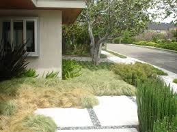 Since 1972, we've been a reliable landscape design, planning, renovation and the ultimate guide to dog friendly landscaping. Outer Space Landscape Architecture San Francisco Bay Area Portfolio Piedmont Residence Garden Landscape Design Front Yard Garden Landscape Design