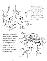 Trail of colors has designed some beautiful free coloring pages for adults that include images of leaves, flowers, dragons, aliens, butterflies, and abstract shapes. Neuro Coloring P Pages Glia