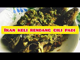 Dalam penelitian, abidin mengatakan sudah ada kaidah penelitian saintifik yang berlaku, bukan hanya di indonesia melainkan seluruh dunia. Ikan Keli Rendang Cili Padi Youtube