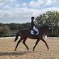 Rearsby Lodge RC Open Dressage Show event in Melton Mowbray