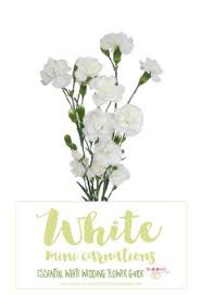 We did not find results for: Essential White Wedding Flower Guide Names Types Pics Wedding Flower Guide White Wedding Flowers Wedding Flowers