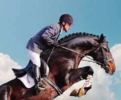 Si los caballos han sido vacunados en primavera ahora es solo protocolo de refuerzo. Vacunacion De Caballos Vacunas Obligatorias Y Opcionales