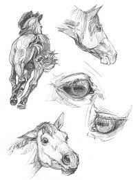 Blake Alexander Downing Fantasy Illustration | Horse art drawing, Animal  drawings, Horse drawings