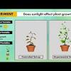 Variable discussion in research example. 1