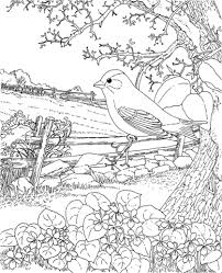 Goldfinch And Blue Violet New Jersey State Bird Coloring Page Free Printable Coloring Pages Bird Coloring Pages Coloring Books Coloring Pages