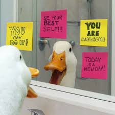 Aflac Cute Ducklings Cute Animals Cute Funny Animals