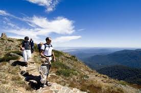 Why do people go to mt buller in the summer? Experience The Summer Adventure Mt Buller Has To Offer Summer Adventures Travel Adventure
