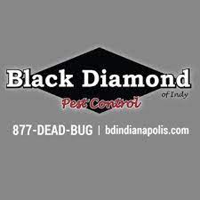 Including residential properties, shops, restaurants, warehouses, pubs, offices and more. Black Diamond Pest Control Indianapolis 19 Photos Pest Control 1727 S Franklin Rd Indianapolis In Phone Number