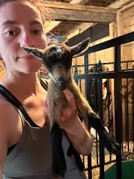 what are good name suggestions for twin goats?