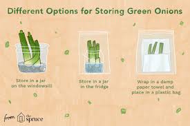 Raw onions will last up to eight months in the freezer. 3 Ways To Keep Green Onions Fresh