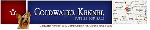 Open today until 9:00 pm. Puppies For Sale In Iowa Dogs For Sale Coldwater Kennel Miniature Dachshund