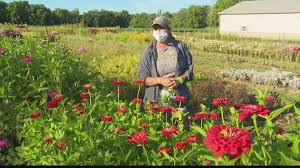The arrangements are beautiful, and smell great. From Nurse To Flower Farmer Central Indiana Woman Finds New Way To Bring Joy During Pandemic Cbs8 Com