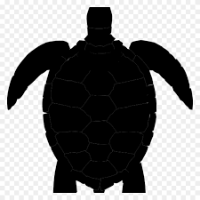 Maybe you would like to learn more about one of these? Turtle Clipart Black And White K Clip Art Sea Images Pictures Sea Clipart Black And White Stunning Free Transparent Png Clipart Images Free Download