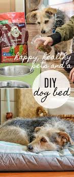 How To Make A Dog Bed For A Crate Tonya Staab Diy Dog Stuff Diy Dog Bed Sewing Classes For Beginners