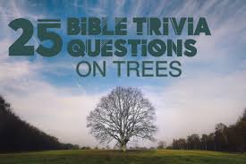 Here's a quick look at the first of two printable pages. 25 Bible Trivia Questions On Trees Letterpile