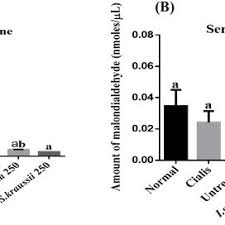 Image result for Salacia kraussii