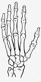 Make your unique style stick by creating custom stickers for every occasion! Big Image Skeleton Hand Clipart Free Transparent Png Clipart Images Download