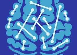 Thinking across the spectrum as want to read How Is Autistic Brain Connectivity Different From Typical Brain Connectivity Quora