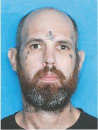 Chief Layrisson reports...