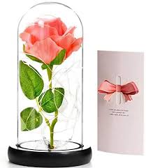 Amazon Com Beauty And The Beast Rose In Glass Dome Enchanted Pink Silk Rose Flower With Led Light Galaxy Rose Flower Gift For Women Mom Girlfrend Thank You Wedding Birthday Valentines Day Gift Home