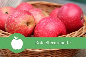 Leave a reply click here to cancel reply. Apfel Rote Sternrenette Befruchter Geschmack Lagerung Selbstversorger De