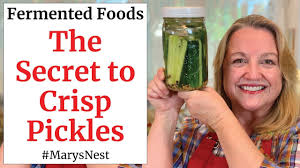 Also, how long before pickles are ready? How To Make Crisp Lacto Fermented Pickles A Probiotic Rich Food Youtube