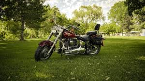 Image result for Silver 1994 FLSTF